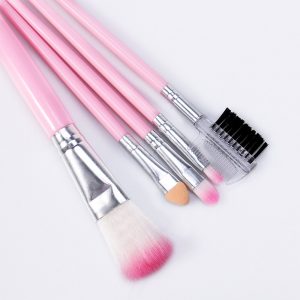 5 PC Make Up Brush Set